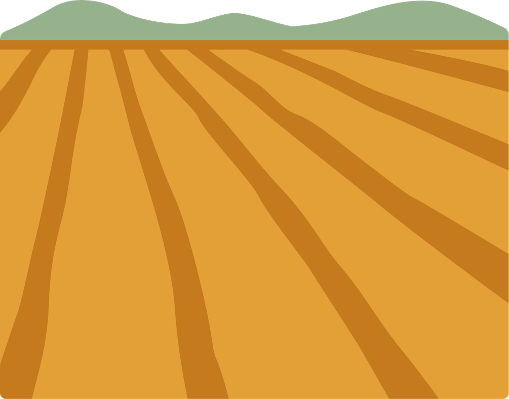 Open field at the Caja Solidaria community farm